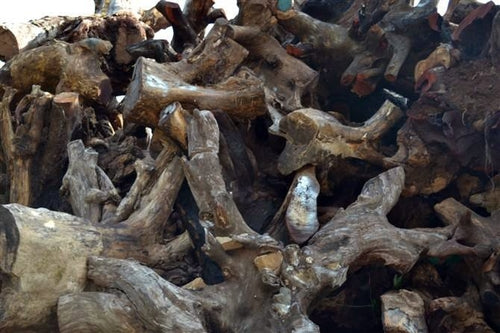 Cenicero de raíz de madera natural hecho a mano 