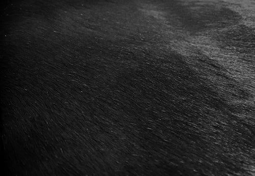 Alfombra de piel de vaca atigrado negro natural 