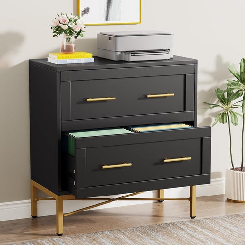 Noir Luxe Gold-Frame Lateral Filement Console