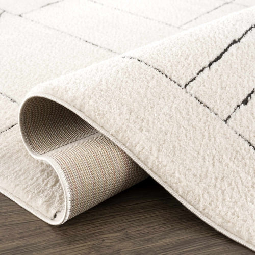 Black and White Geometric Striped Area Rug