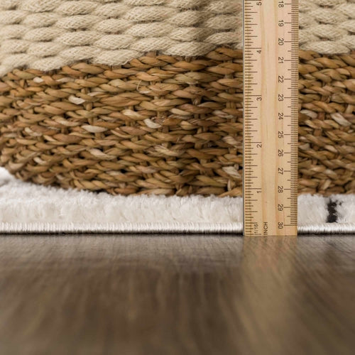 Black and White Geometric Striped Area Rug