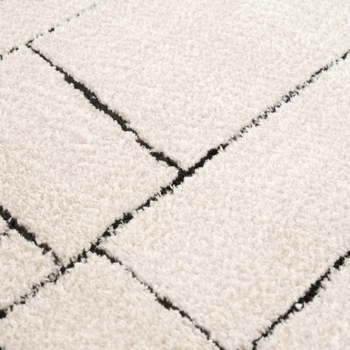 Black and White Geometric Striped Area Rug