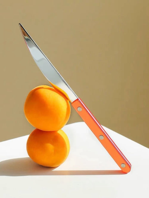 Juego de cubiertos de bistró francés de 10 piezas: cubiertos con decoración de dopamina colorida y mangos retro