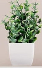 Mini set botánico Evergreen Quartet