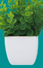 Set de 6 plantas artificiales en maceta Evergreen en miniatura