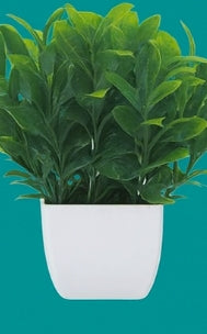 Set de 6 plantas artificiales en maceta Evergreen en miniatura