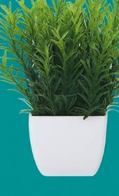 Set de 6 plantas artificiales en maceta Evergreen en miniatura