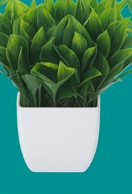 Set de 6 plantas artificiales en maceta Evergreen en miniatura