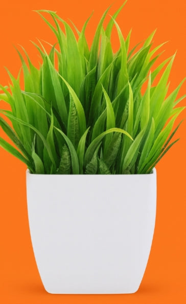 Set Botánico Verdant Duo Petite: Plantas artificiales en maceta (juego de 2), multicolor