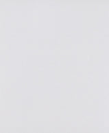 Set Botánico Verdant Duo Petite: Plantas artificiales en maceta (juego de 2), multicolor