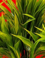 Planta artificial en maceta, moderna y verde, con forma de cilindro (maceta cilíndrica marrón)