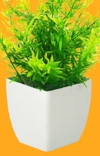 Set botánico en miniatura Luxe Evergreen: Plantas artificiales en maceta (juego de 10)