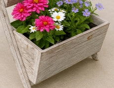 Soporte para plantas escalonado encalado de Clairborne