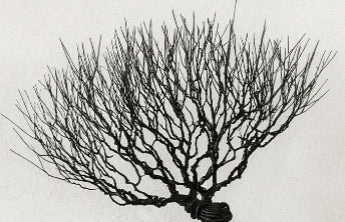 Escultura de árbol bonsái de alambre de estilo natural 