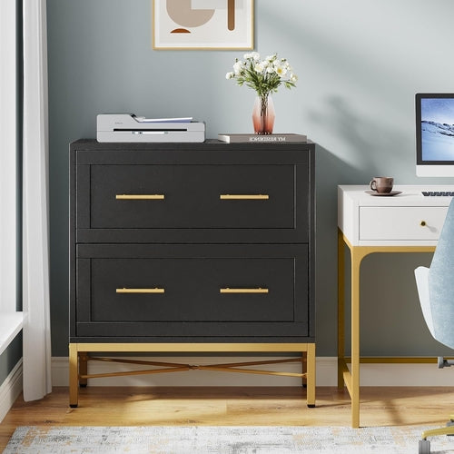 Noir Luxe Gold-Frame Lateral Filement Console