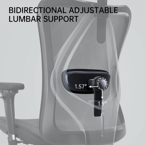 Silla de oficina ErgoLift gris