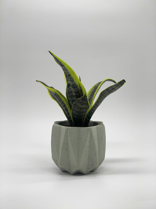 Jardinera artesanal de hormigón de geometría plegada