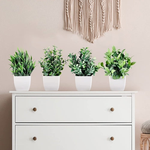 Mini set botánico Evergreen Quartet